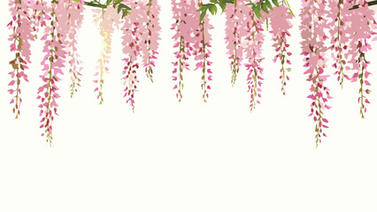 Illustration of wisteria vines with pink flowers hanging down against a plain light background design scene