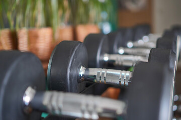 Fototapeta premium A set of dumbbells in a fitness gym