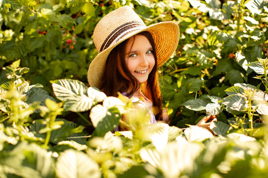 happy child eating raspberries in the garden  