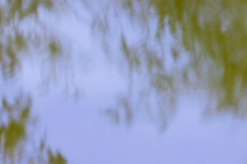 The sky and the foliage reflecting on the surface of a lake, in a farm in the eastern Andean mountains of central Colombia, near the town of Villa de Leyva.