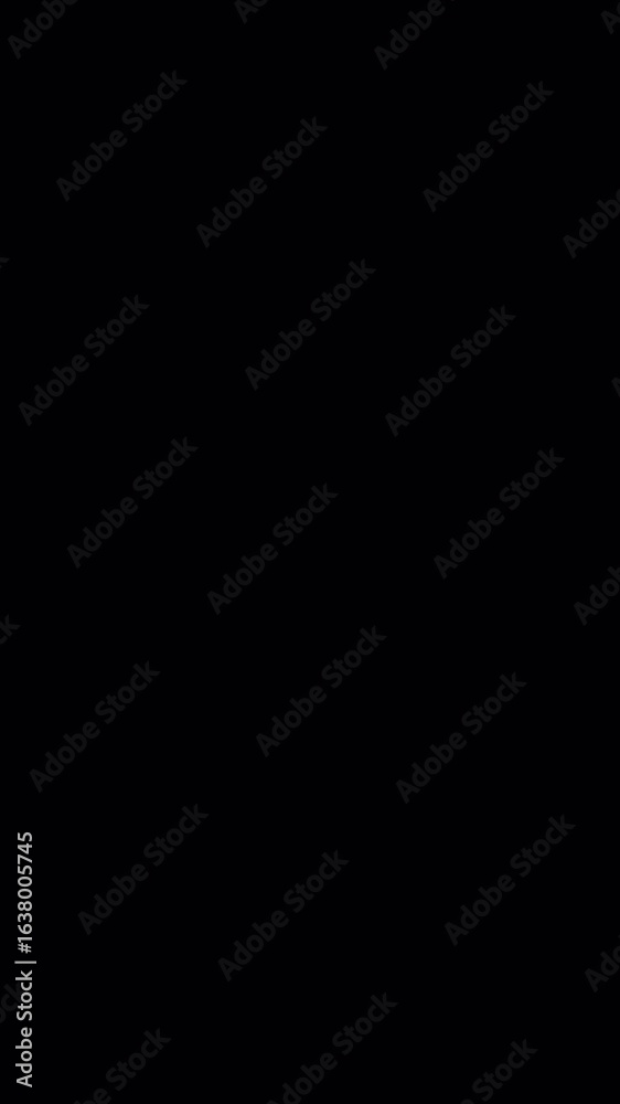 Wall mural vertical format flash light transition overlay for fast cuts video editing