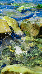 splash of water from a stone falling into the sea
