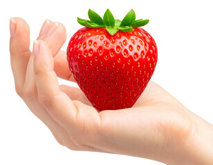 Obraz premium Close-Up of Hand Holding a Fresh Ripe Strawberry
