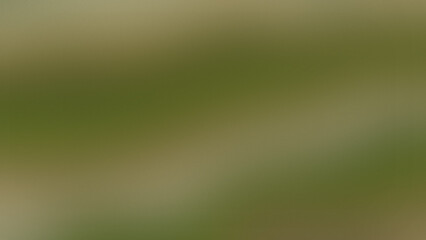 Abstract green and brown textured background with a soft and natural feel