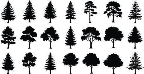 Silhouettes of twenty different trees, coniferous and deciduous types, botanical illustration, forest shapes, nature icons, educational, black graphic design