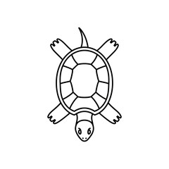 Obraz premium Outlined drawing of a turtle viewed from above showing its shell head and limbs.