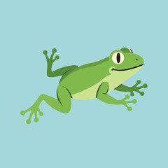 Obraz premium A green frog leaps forward with outstretched limbs.