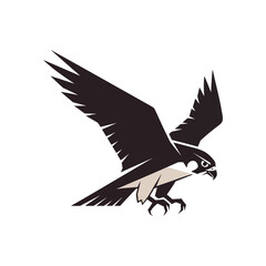 Obraz premium A bird of prey with spread wings and sharp talons in a diving pose.