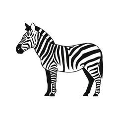 A zebra stands in profile showing black and white stripes.