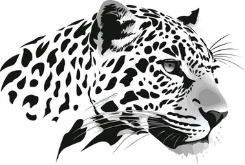 Jaguar head profile graphic illustration