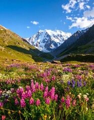 Vibrant wildflowers carpet a valley floor, with a majestic snow-capped mountain rising in the background under a clear sky