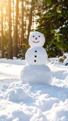 Snowman in snowy forest (2)