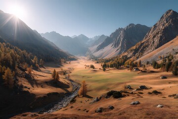 Golden Valley Glimmering Under a Mountain Sun