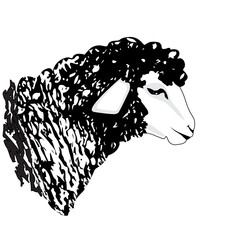 sheep or ram icon farm animal logo vector
