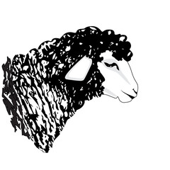 sheep or ram icon farm animal logo raster