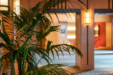 Indoor Tropical Plant by Elegant Hallway Lighting