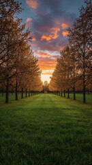 Fototapeta premium Autumnal Tranquility Tree Lined Meadow at Sunset Under a Colorful Cloudy Sky Providing a Sense of Peace and Serenity