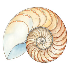 Obraz premium Watercolor Clip Art of a Nautilus Shell Spiral in a Serene Nature Environment