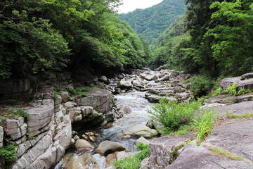岡山県鏡野町の奥津渓谷