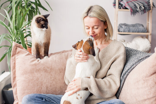 Happy woman playing with her dog on the couch at home
