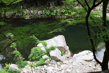 初夏の奥津渓の風景
