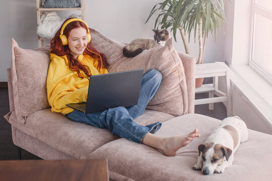 Relaxing young woman using laptop in living room - Powered by Adobe