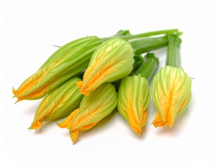 Mini Zucchini Blossoms - Fresh Edible Flowers for Cooking and Garnish