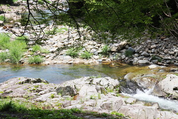 初夏の奥津渓谷の風景