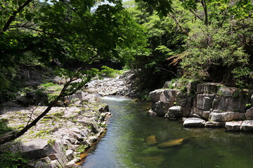 初夏の奥津渓谷の風景