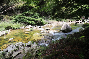 初夏の奥津渓谷の風景