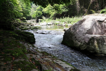 初夏の奥津渓谷の風景