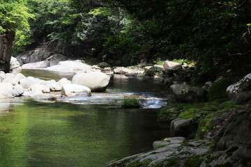 初夏の奥津渓谷の風景