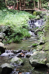 津山市横野滝の渓流
