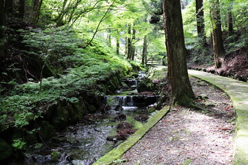 津山市横野滝の渓流