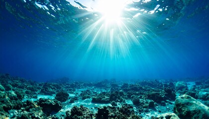 Fototapeta premium Sunlight Underwater Scene