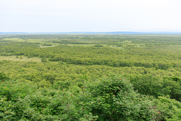 Obraz premium Panorama Summer View of Kushiro Marsh Wetland in Hokkaido, Japan