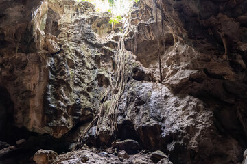 Ravine with sunlight filtering through lush greenery in a rocky cave setting