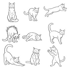 Nine black and white line art drawings of cats in various poses and actions feline