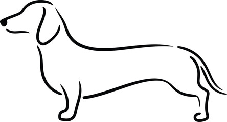 Minimalist dachshund dog line art, simple black outline drawing, pet illustration, modern design, cute dog silhouette, vector art, animal sketch.