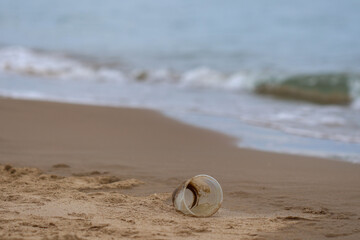 Obraz premium Plastic cup on sandy beach near sea shore with gentle waves in background, evoking sense of calm and environmental concern