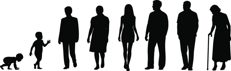 Silhouette of human life stages, baby to elderly, male and female growth, aging timeline, development process, people evolution concept.