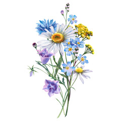 Bouquet of wildflowers: chamomile, tansy, cornflowers, bluebells and forget-me-not. Hand-painted watercolor botanical illustration. A set of watercolors flowers on an isolated background.