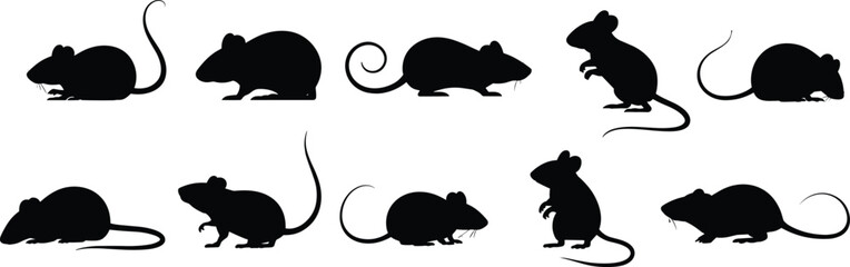 Silhouettes of mice in various poses, small rodents, wild animals, mouse tail, animal silhouettes, pest control, nature wildlife, cute mouse shapes