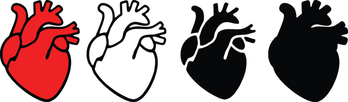 Stylized human heart in colorful, line art and silhouette versions