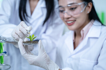 In the green laboratory, science and chemistry merge as biology experts conduct research, test each experiment carefully, and aim to improve global health.