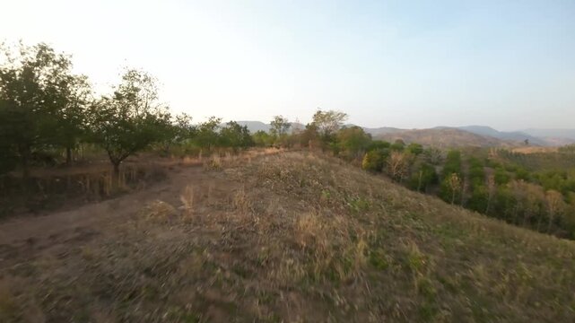 View of a tamarind plantation on the hills of Loei Province, Thailand