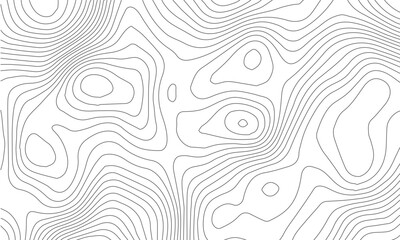 Fototapeta premium Vector white and black line luxury organic pattern. Japanese style abstract wave, elegant water, contour, topography, cloud elegant texture. Premium fancy minimal template 
