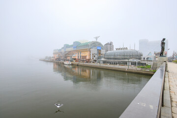 Foggy Morning at Kushiro Fisherman's Pier, Hokkaido, Japan