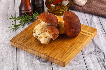 Raw natural wild porchini mushrooms