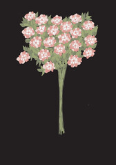 Cute pink flowers with leaf